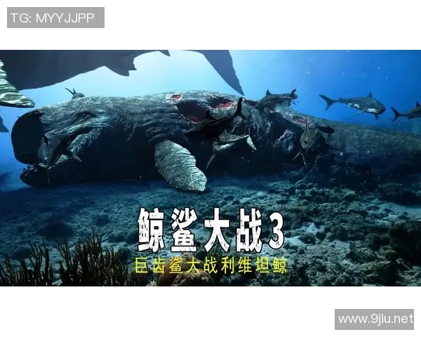 埃梅莱克与飓风的激烈对决谁能在这场比赛中笑到最后 埃梅莱克与飓风的激烈对决谁能在这场比赛中笑到最后