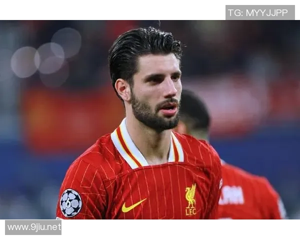 索博斯洛伊的历史传承与文化魅力探秘之旅 索博斯洛伊的历史传承与文化魅力探秘之旅